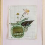 Heather S Bischoff