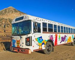 FURRY FRIENDS BUS Heather S Bischoff