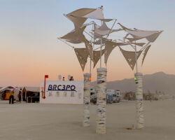 See Trees in the 3B Plaza at Burning Man 2019.