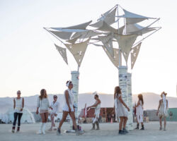 Just as the aspen are all connected, we move as one flock, cycling.