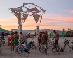 The crew celebrating the Trees during playa sunset.