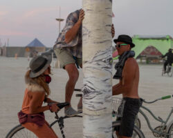 Creative curiosity rewards those who seek!