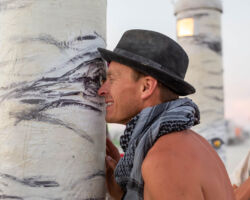 Discover the internal realms of the Trees.