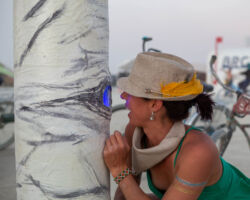 Looking into the eyes of the aspens.