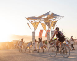 Trees at Sunset on playa.
