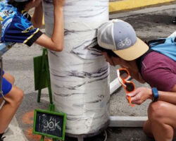 Curious eyes look to discover the internal realms of Trees.