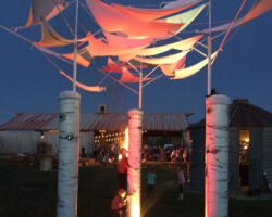 Night lights on the Trees at I Bar Ranch.