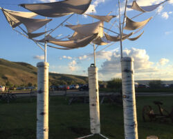 The canopy brings the clouds down to Earth.