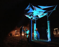 Night viewing with the Trees.