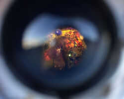 Internal realm exploring whimsical childhood memories by Baily Hosier.