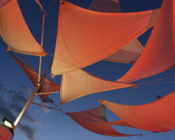 Colorful canopy with the Trees.