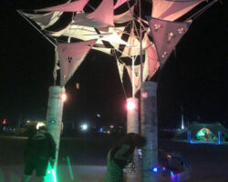 Playa participants explore the Trees.