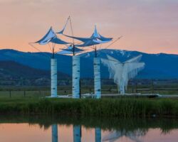 See Trees reflections at dawn during Bridges of the Butte 2019.