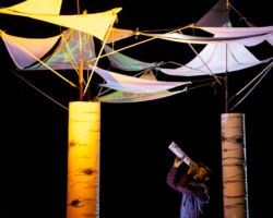 Look into the eyes of the aspen.... what will you see?